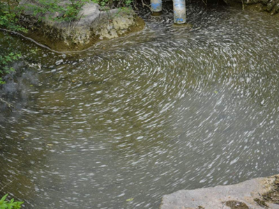 深圳水質檢測