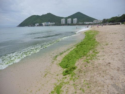 深圳水質檢測機構