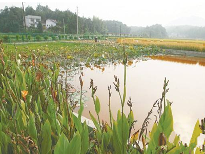 深圳水質檢測